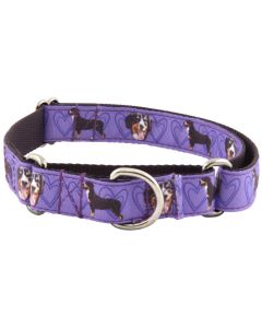 Purple Entlebucher Mountain Dog Ribbon Martingale Dog Collar Limited Edition