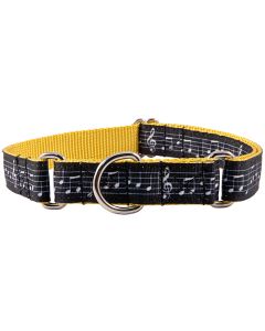 Sheet Music on Gold Grosgrain Ribbon Martingale Collar