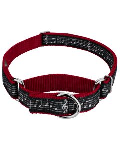 Sheet Music Ribbon on Red Martingale Dog Collar