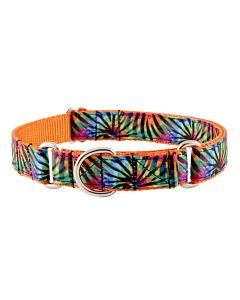 Tie Dye Stripes Grosgrain Ribbon Martingale Dog Collar