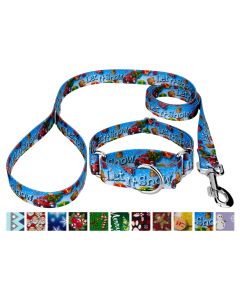 Let it Snow Martingale Collar & Leash