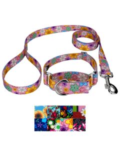 Spring Daisies Martingale Collar and Leash