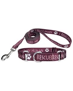 I Rescued My Human Martingale Dog Collar and Leash Limited Edition