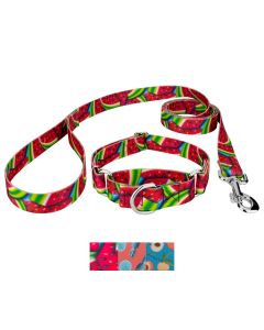 Barista Martingale Dog Collar and Leash