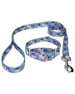 Watercolor Pumpkins Martingale Dog Collar and Leash Limited Edition