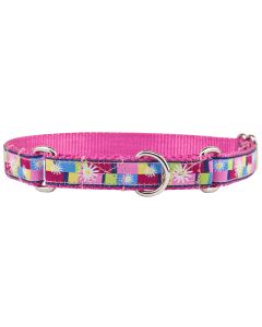 Daisy Blocks Woven Ribbon on Rose Martingale Dog Collar Limited Edition