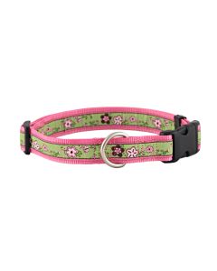 Avery Blooms Jacquard Ribbon Dog Collar Closeout 