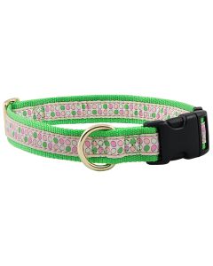 Green and Pink Dots Jacquard Ribbon Dog Collar Closeout