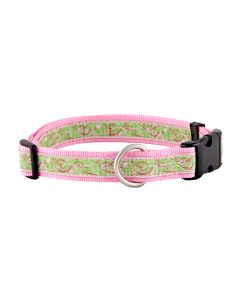 Sweet Nothings Jacquard Ribbon Dog Collar