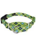 Margarita Argyle Martingale with Deluxe Buckle