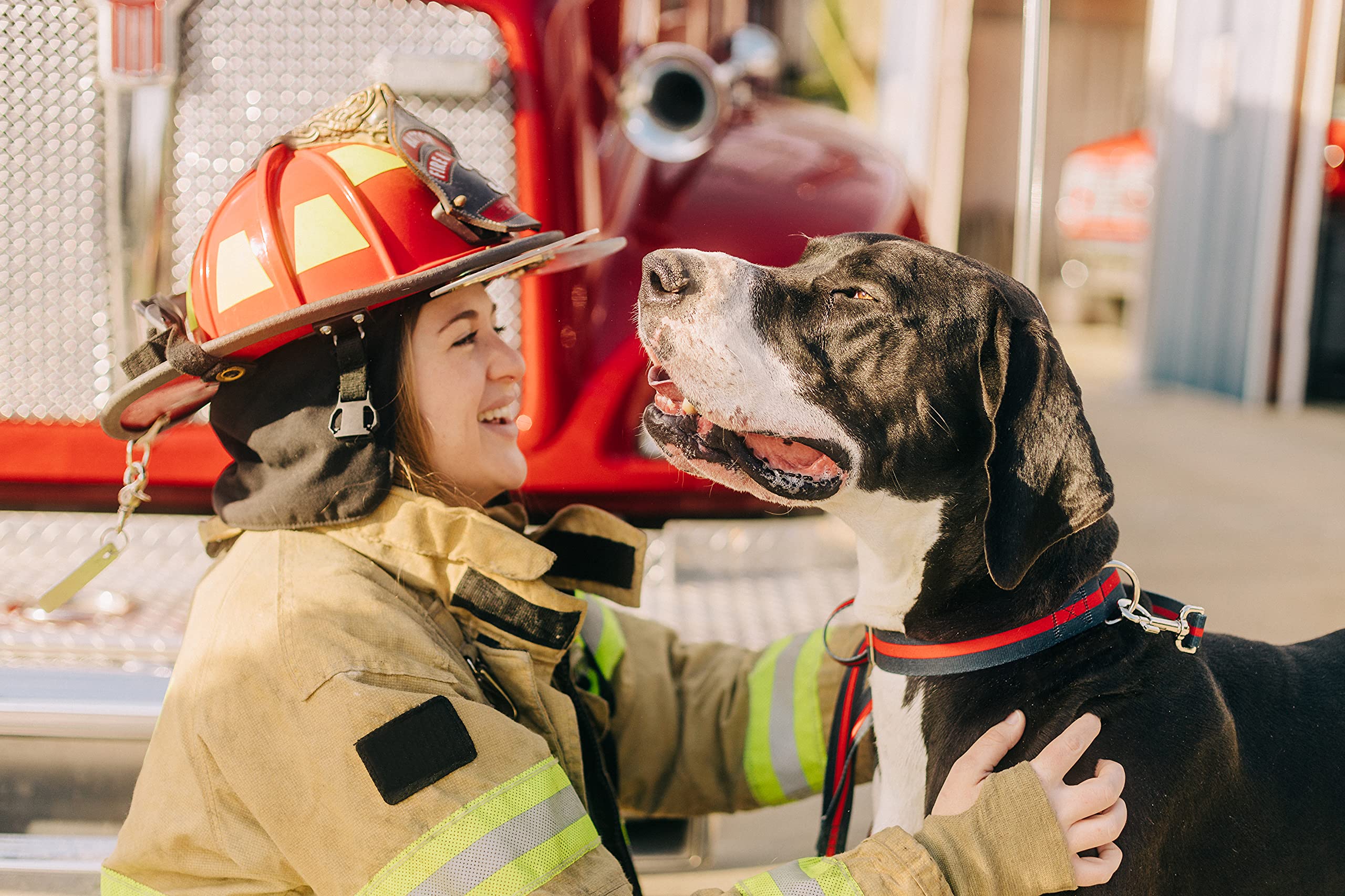 An image of a smiling firefighter while holding a dog