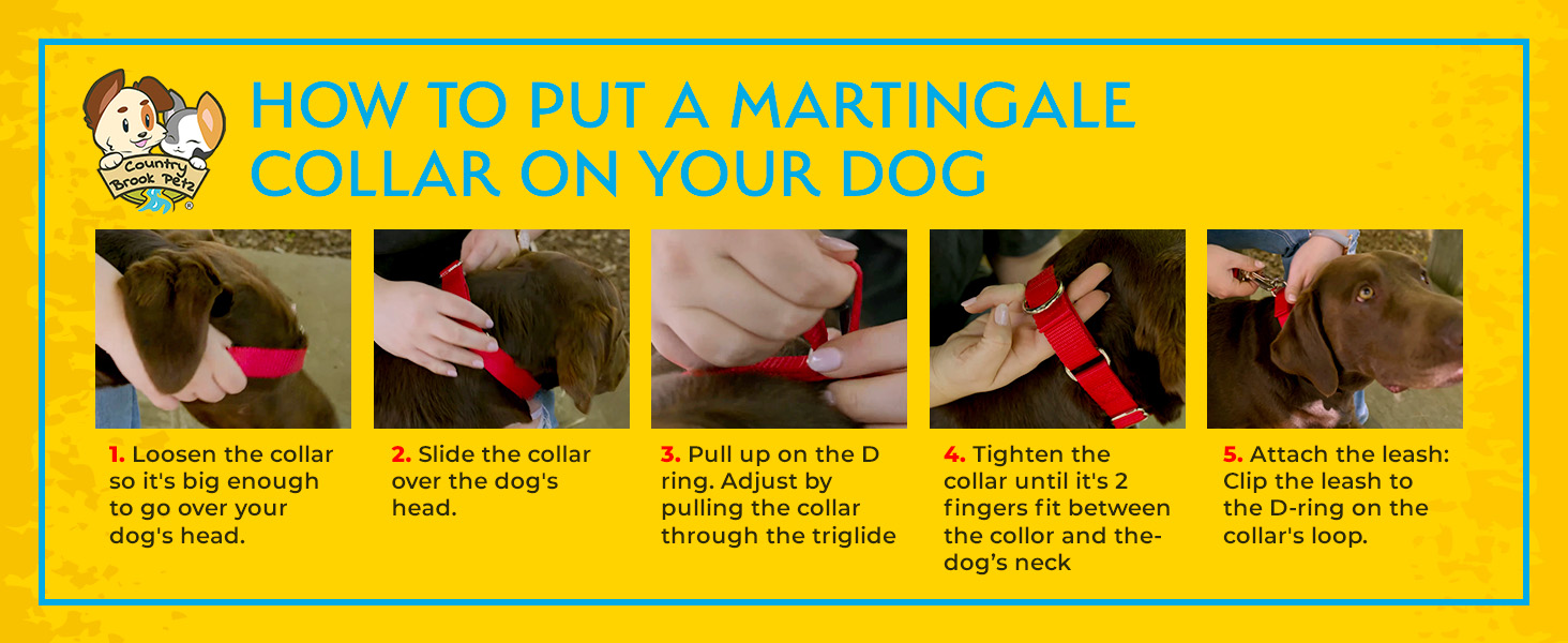 This image is a how-to guide for Martingale Dog Collars. The steps are also listed at the end of the description.