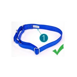 How to Use a Martingale Collar
