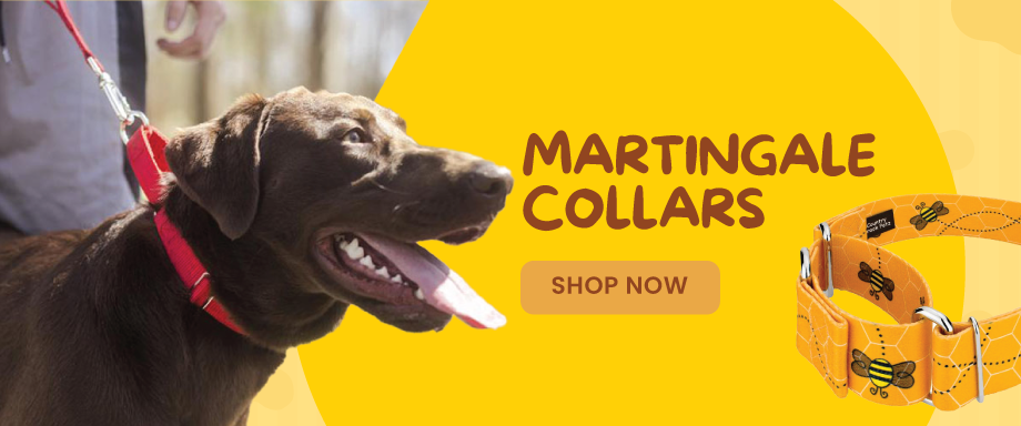 Category - Martingale Collars